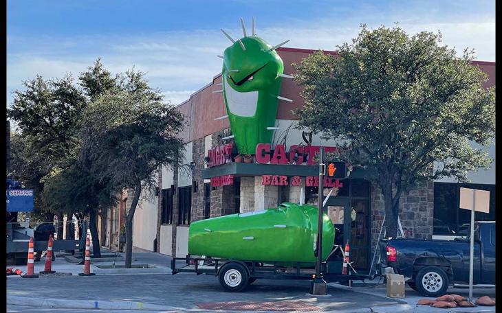 Angry Cactus | Live Photo Sonia RM