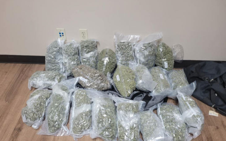 19 Pounds of Marijuana