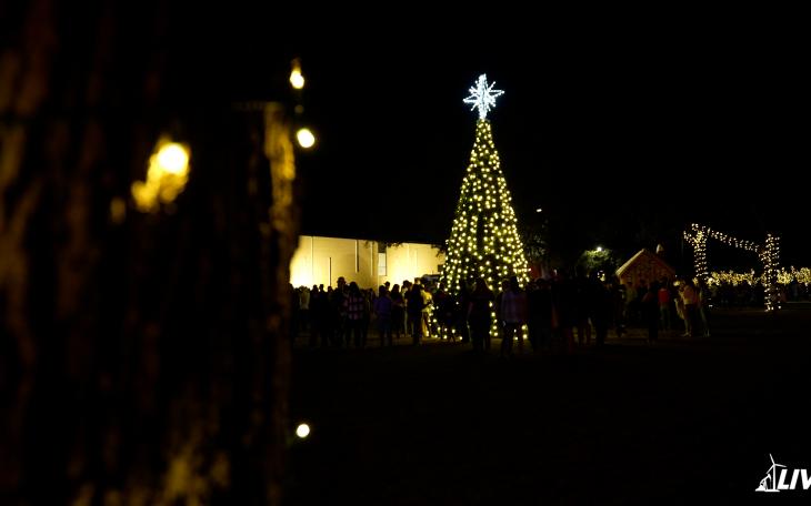 Angelo State Christmas Tree 2021