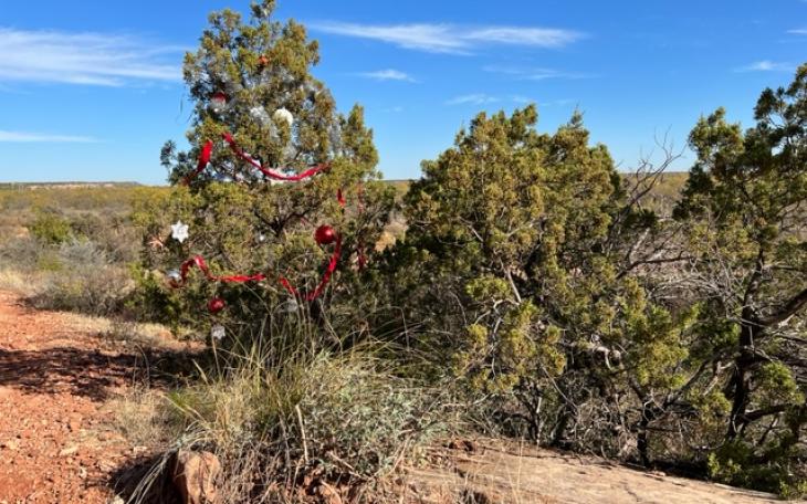 Merry Christmas from the Trail (LIVE! Photo/Yantis Green)