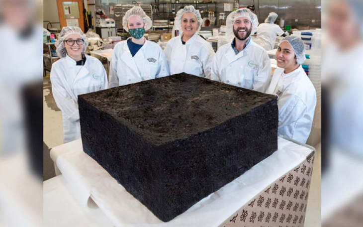 World's Largest Pot Brownie