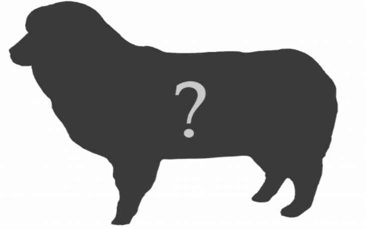 San Angelo Sheep Statue