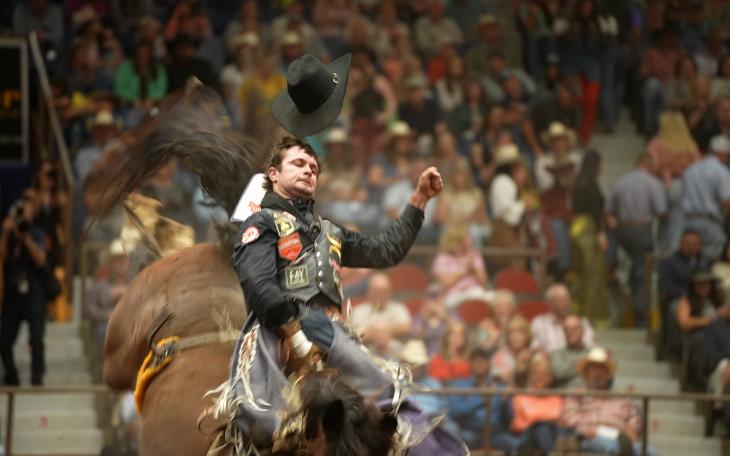 Cole Reiner - 2022 Cinch Chute Out Bareback Champion