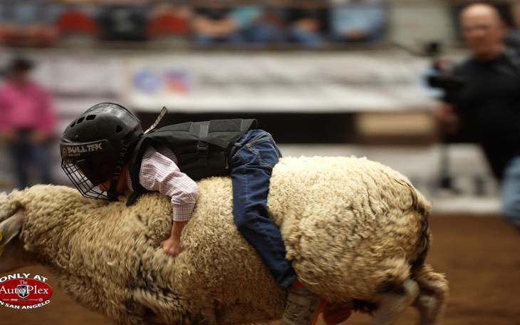 Connor Webb Mutton Bustin' 2022