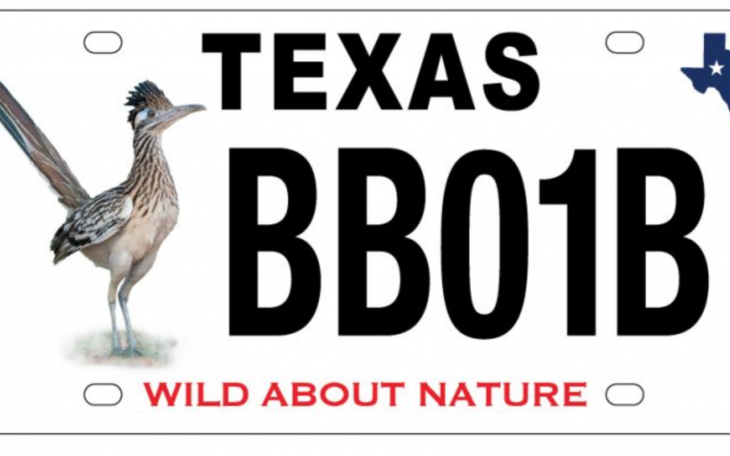 Texas Roadrunner License Plate (Contributed/TPWD)