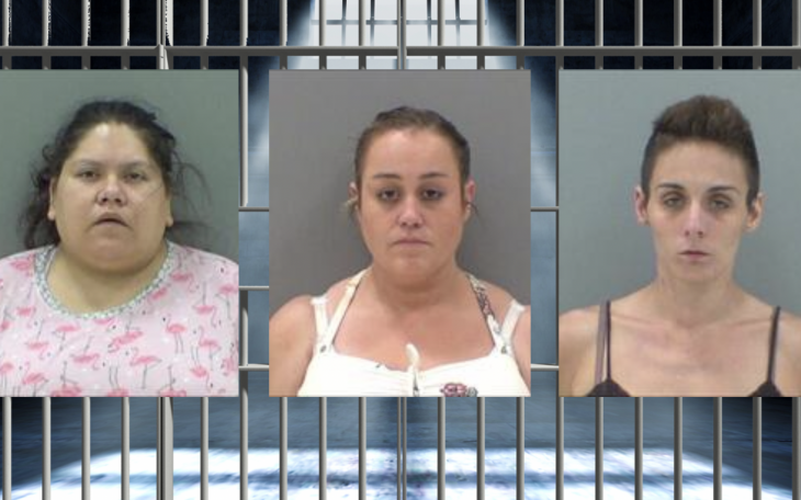 Yesenia Dominguez, Ashley Cox, Monica Gauer