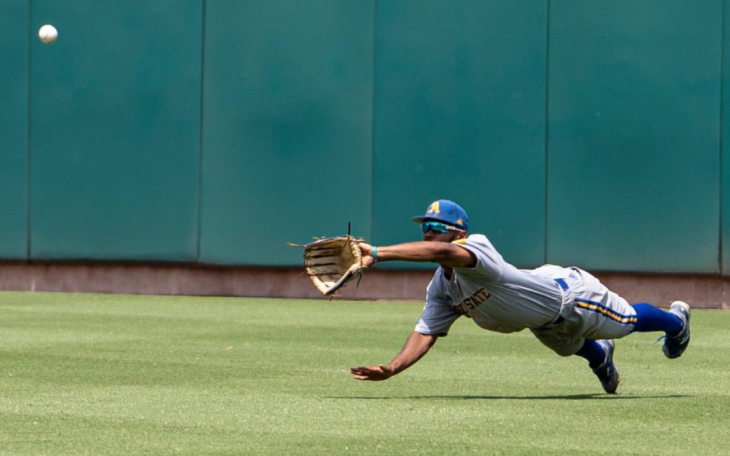 Angelo State University Baseball DII Championships 2022 (Contributed/Angelosports.com)