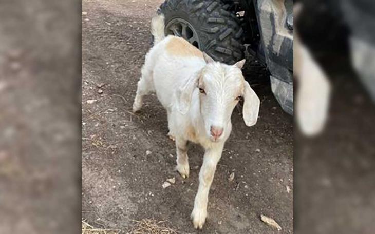 Kevin Goats went missing near the Stripes Convenience Store in the 3900 block of N. Chadbourne St. several days ago as of June 28, 2022.