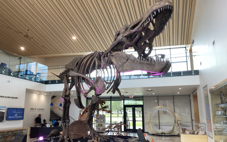 Exhibits at the Mayer Museum at Angelo State