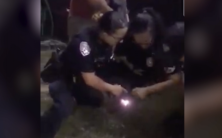 Tazer Used Against Desirees Patron