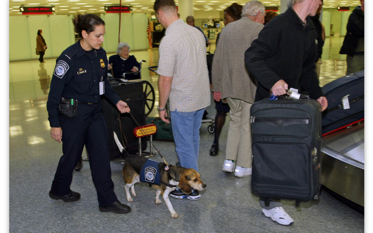 Customs &amp; Border Protection Travel Tips (Contributed/CBP)