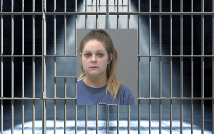 Amanda Plummer Arrested