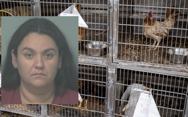 Natalia Cosyleon Arrested