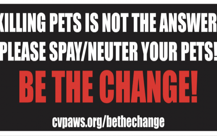 LIVE! DAILY | Concho Valley Paws Leads New Effort to Stop City from Destroying Pets