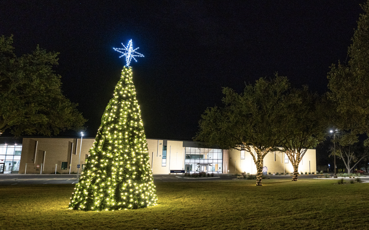 Christmas Tree Lighting