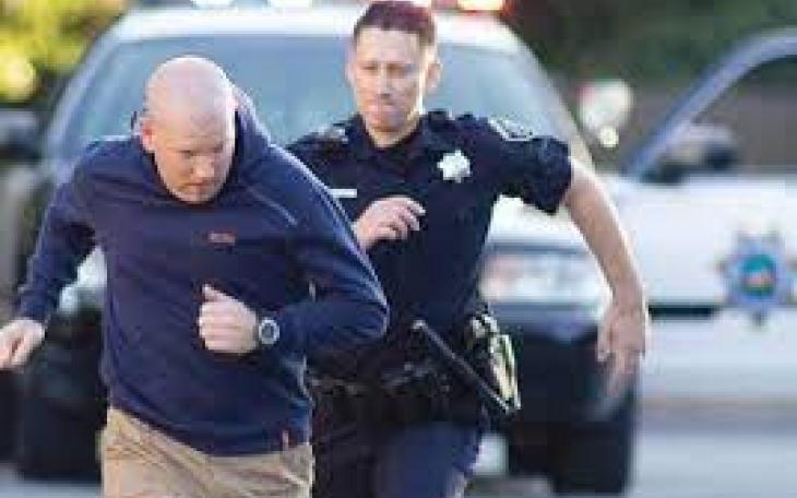 Evading Arrest Image (Courtesy/Facebook)