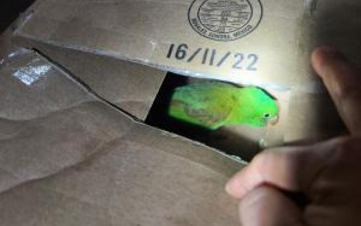 Illegal Parrot Seized by CBP in Eagle Pass (Courtesy/CBP)