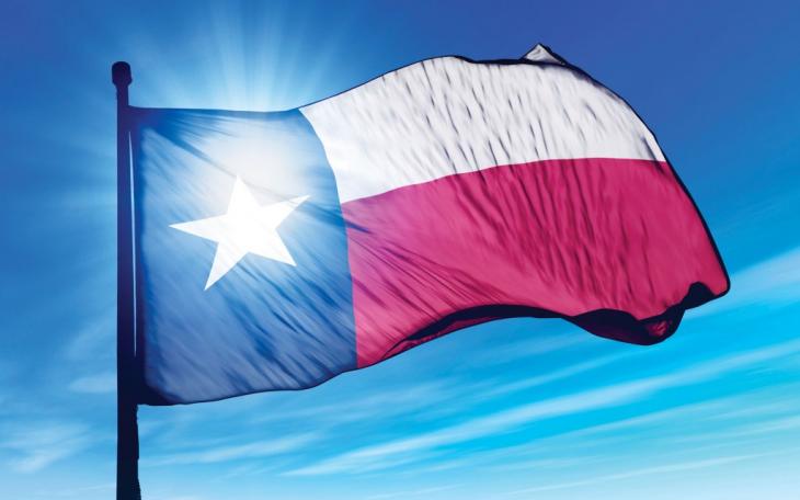 State of Texas flag