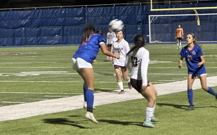 Lady Cats on Defense