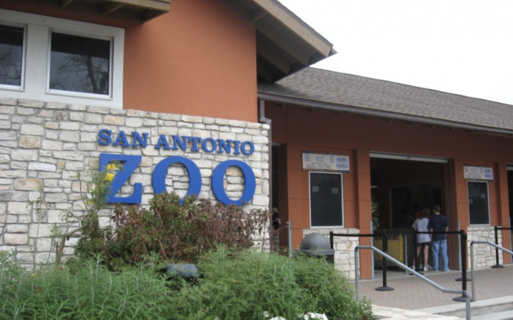 San Antonio Zoo