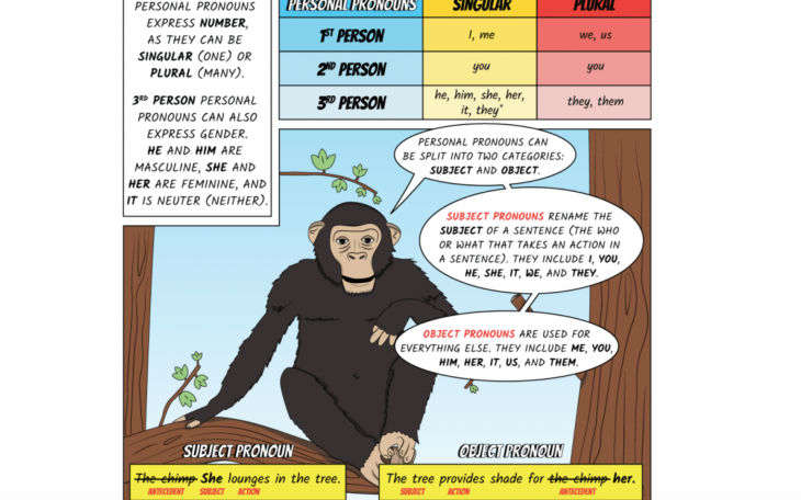 Chimp Pronouns (Courtesy/Super ELA)