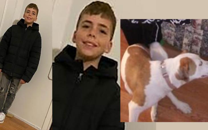Kryztufur Gill, 11yoa, Male, White, 5'2&quot;, 70lbs