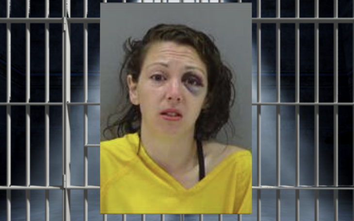 Miranda Carnicle Arrested