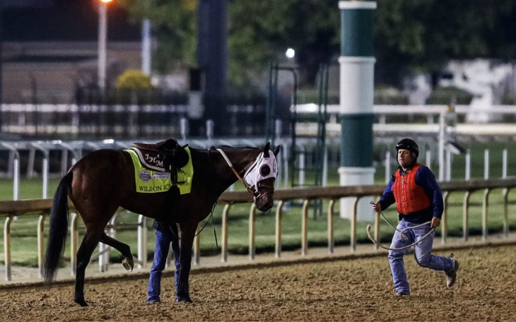 Wild on Ice, Kentucky Derby