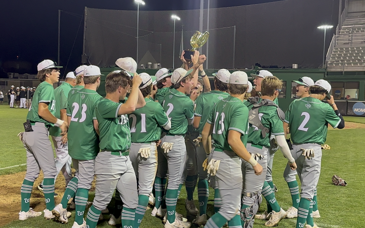 Wall Hawks Baseball 2023 Bi-District Championship