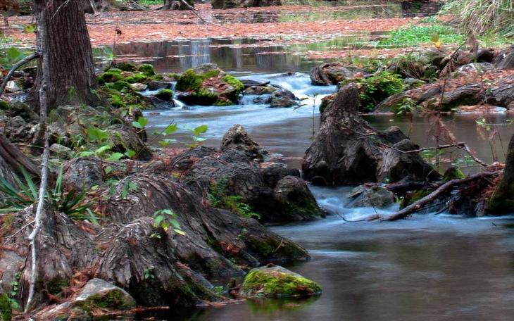 Honey Creek State Natural Area (Courtesy/TPWD)
