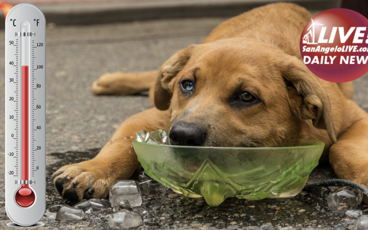 LIVE! Daily News | The Dog Days of Summer Begins