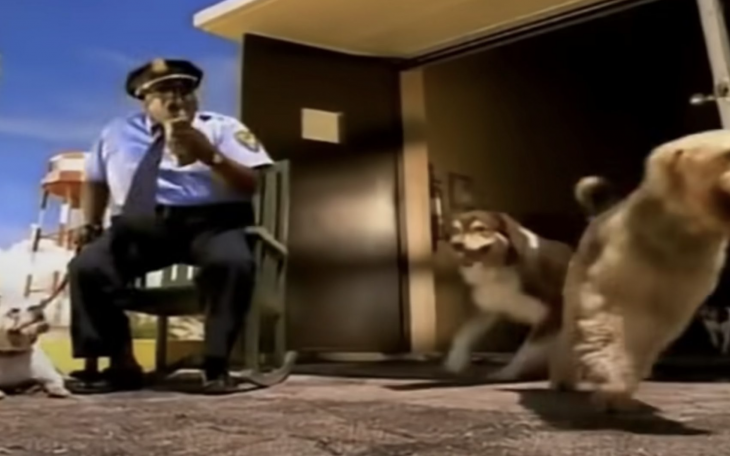 Who Let the Dogs Out? (Courtesy/The Farmers Dog)