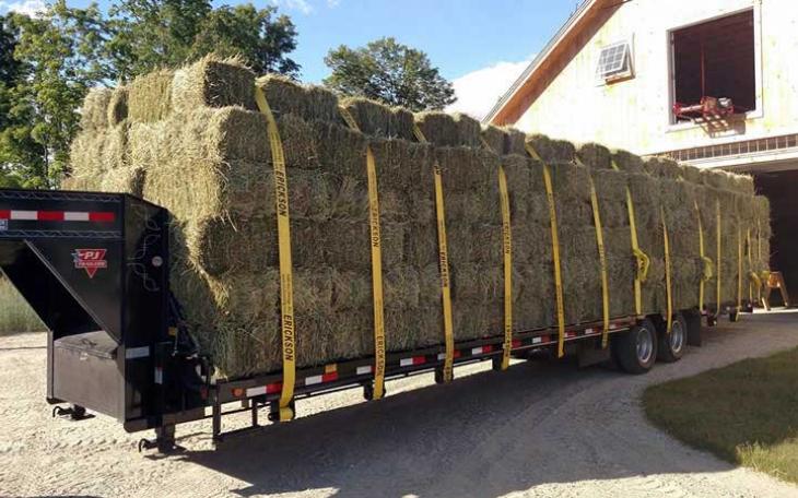 Trailer Load of Hay (Courtesy/Charmingfare Farm)