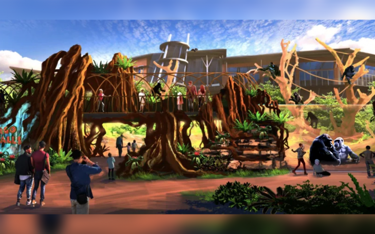 Gorilla Enclosure at the San Antonio Zoo