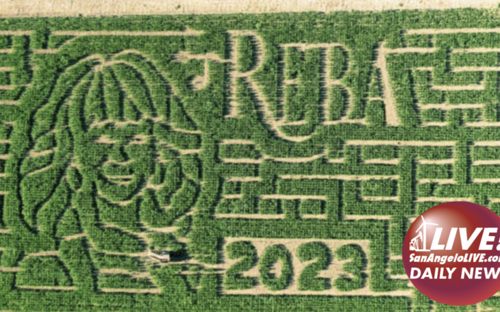 Wall Gets Hit with a Big Dose of REBA