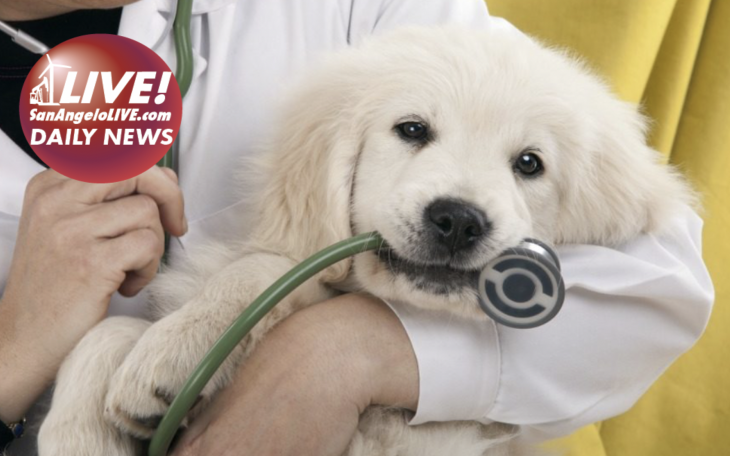 LIVE! Daily News | Southside Animal Hospital Announces New Change