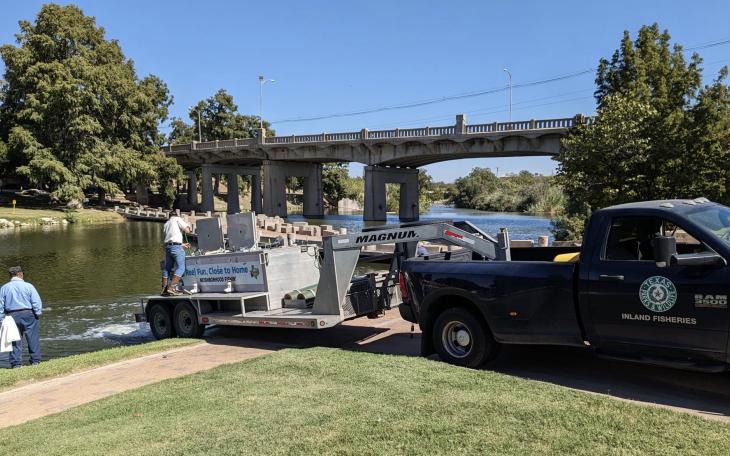 Catfish Stocked in the Concho River
