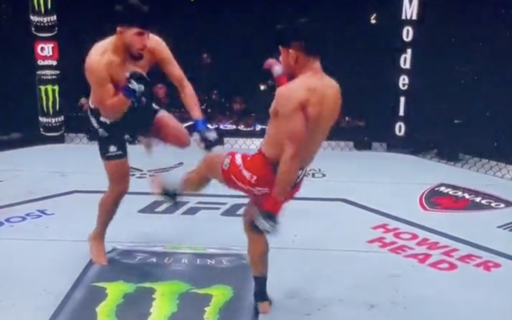 Leg Kick UFC