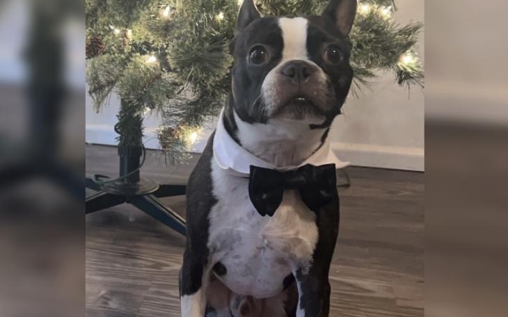 Jackson in his Sunday Best