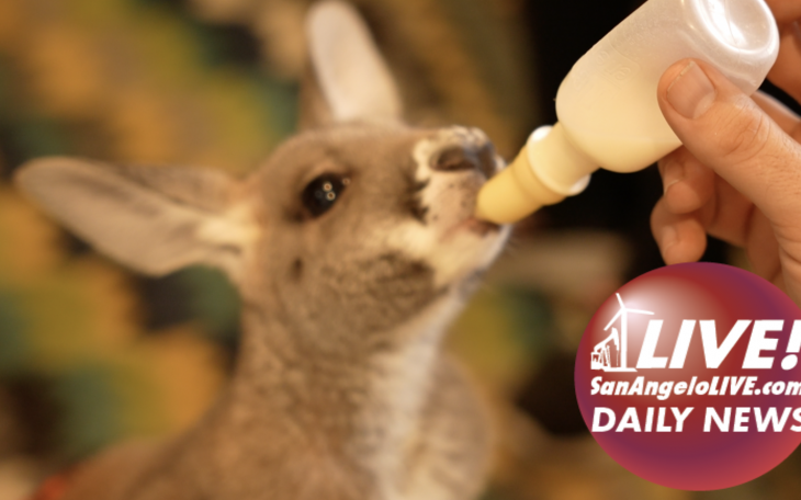 LIVE! Daily News | Free Reign Sued and Scooby Roo