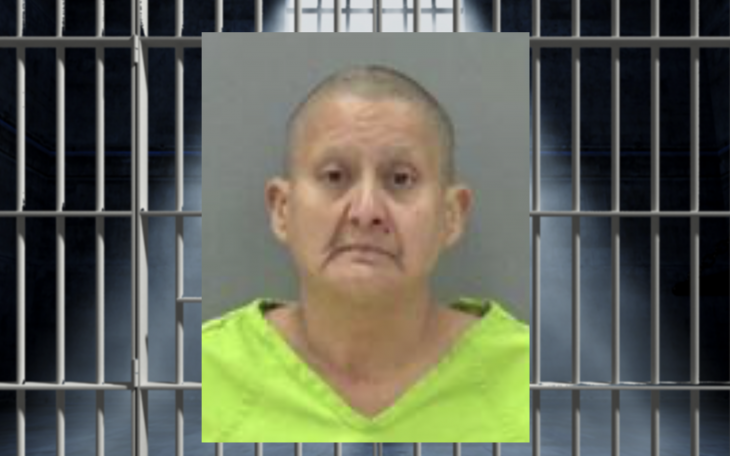 Elsa Salas Martinez, 51, of San Angelo, Arrested