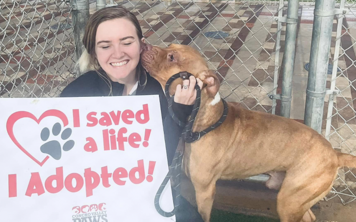 Dog Saved at Concho Valley PAWS