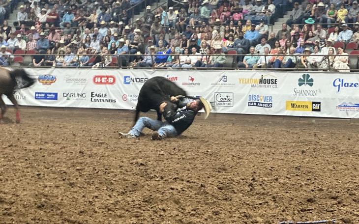Steer Wrestling During the 3rd Performance at the 92nd Annual San Angelo Rodeo
