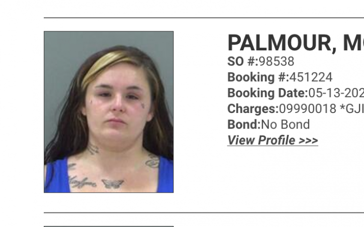 Morgan Palmour Criminal Negligent Homicide (Mugshot TGCSO)