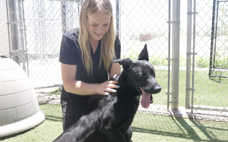 Concho Valley PAWs | Tofu Needs a Home