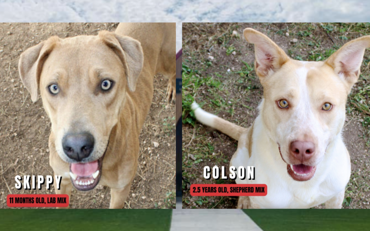 Meet Skippy &amp; Colson