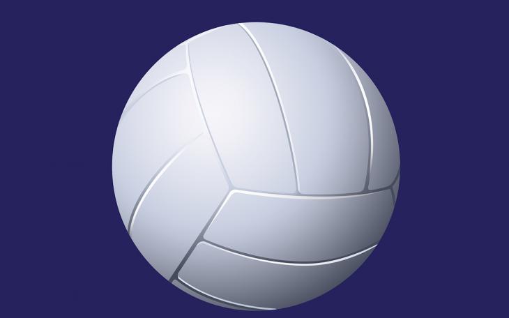 Volleyball image Volleyball image