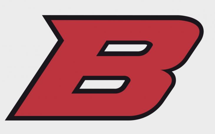 Ballinger Bearcats logo