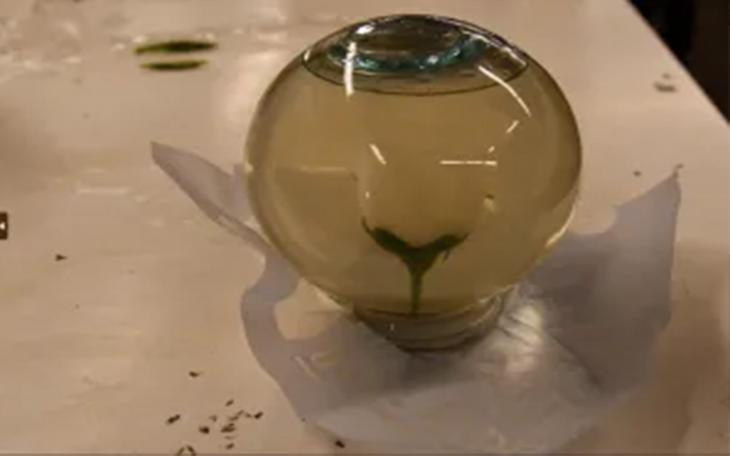 CBP Officers Seize Over $6.5 Million in 'Hard Narcotics' at World Trade Bridge