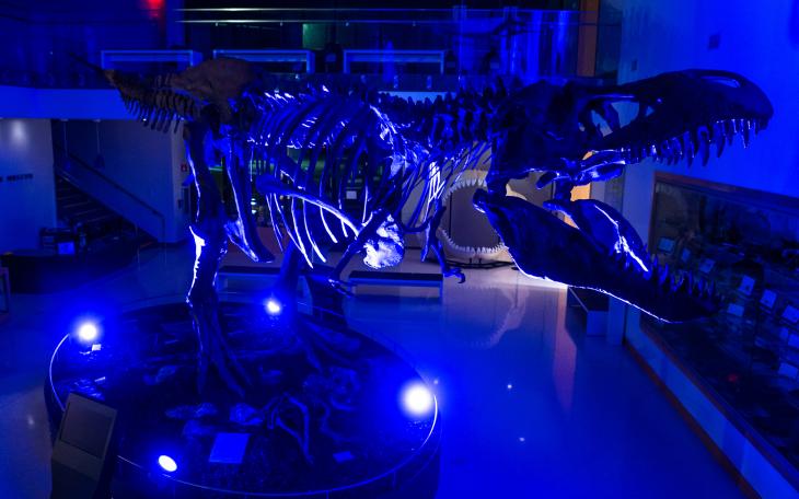 Angelo State Mayer Museum Launches Monthly ‘Night at the Museum’ Educational Program”